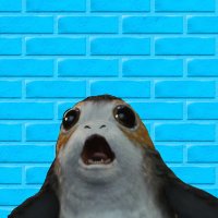 Kevin (@kesei_ix) 's Twitter Profile Photo Kevin (@kesei_ix) 's Twitter Profile Photo