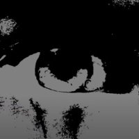 OptiK Sound (@optiksounds) 's Twitter Profile