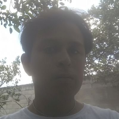 dante_gonal's profile picture. 