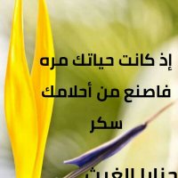 حناياالغيث(@aser5739) 's Twitter Profile Photo