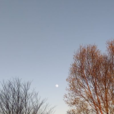 inteldot95's profile picture. 🔱