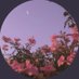 رسيل السويلم (@great_person4) Twitter profile photo رسيل السويلم (@great_person4) Twitter profile photo