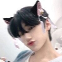 ♡︎︎-•° 재채 ₍ᐢ•˕•ᐢ₎ °•-♡︎ (@minechaechae) 's Twitter Profile