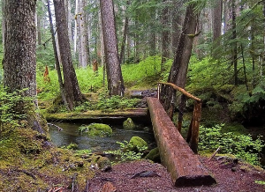 PlacesToHike's profile picture. Our goal is to provide you with the most robust site of hiking related resources from trail maps, to hiking guides, top rated trails, mountain biking trails, ca