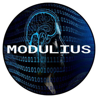 modulius's profile picture. 