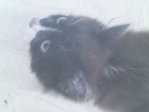 TauanyPsql's profile picture. 