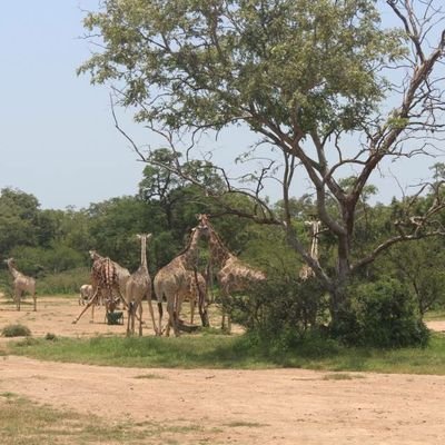 4tified_'s profile picture. Better days are ahead