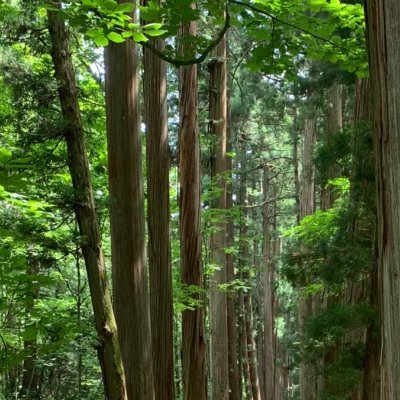 松商学園　信濃グランセローズ　巨人
応援団