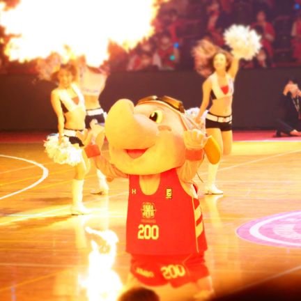 埼玉の民ですが千葉ジェッツ応援中！ 箱推しだけど特にジャンボくん推し🐘🏀！ なかなかホームには行けませんが…ジェッツ好きな人と繋がりたいです😆 ぜひ絡んでください😄！ 無言フォローすみません🙏