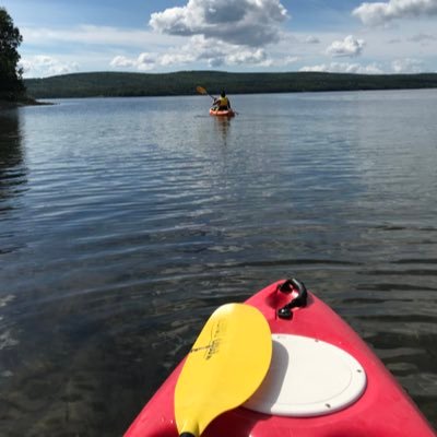 KimberleyMcCarr's profile picture. 