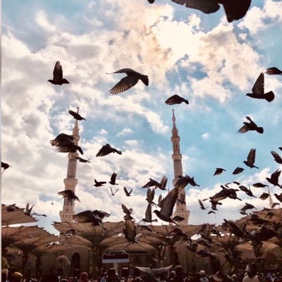 ربي أوزعني أن أشكر نعمتك التي أنعمت علي وعلى والدي وأن أعمل صالحاً ترضاه وأدخلني برحمتك في عبادك الصالحين.