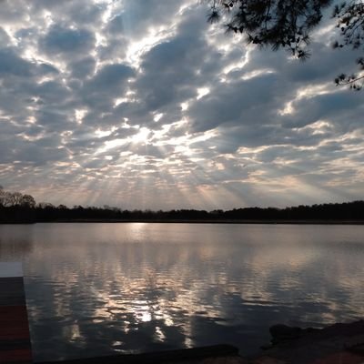 MeganSnellings's profile picture. Lead with Love