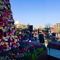 ふな (@tnrapo) Twitter profile photo