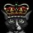NatAttack416's profile image