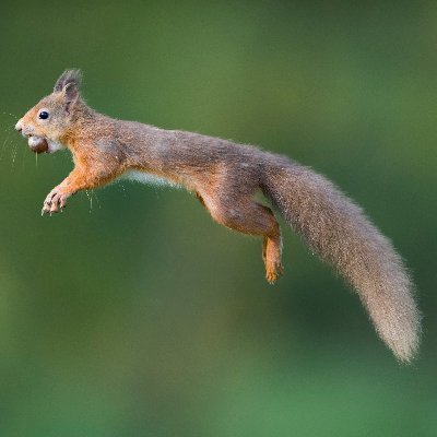 asia_sap's profile picture. Working at SAP.