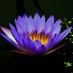 Personal Development (@selfimprovment) Twitter profile photo Personal Development (@selfimprovment) Twitter profile photo