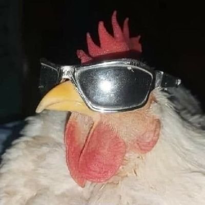 alrodz04's profile picture. Si