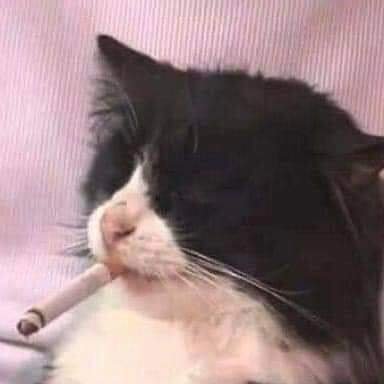 ally_kkkk's profile picture. the one who was forgotten