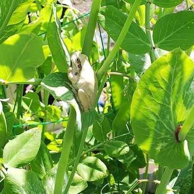 FOdLBXrwjN2Oz0e's profile picture. 