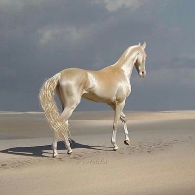 lillicharlot's profile picture. (づ｡◕‿‿◕｡)づ