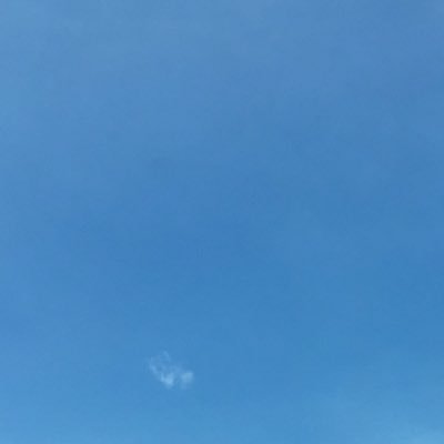 hhccaann's profile picture. 