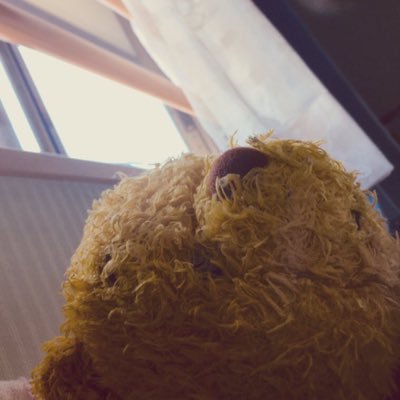 しら幽鬼/オタさんのプロフィール画像