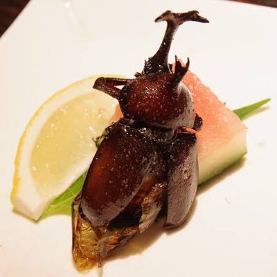 sukebee08's profile picture. 