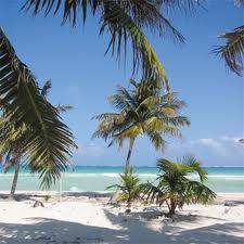Information on Planning Your Gap Year