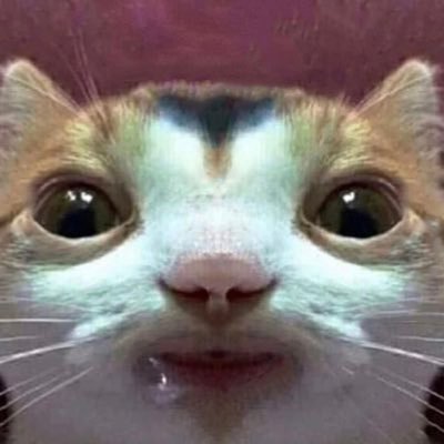 andrew_maynor's profile picture. sleepwalker