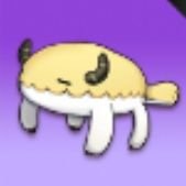 샤샤さんのプロフィール画像