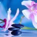 Holistic Health | Ireland 🇮🇪 (@holistic_eire) Twitter profile photo Holistic Health | Ireland 🇮🇪 (@holistic_eire) Twitter profile photo