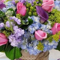 Emine Dülger (@eminedlger13) Twitter profile photo