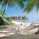 Julie Bitner - @JulieBitner - Twitter