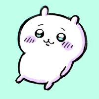 のんか (@nonka_) 's Twitter Profile Photo のんか (@nonka_) 's Twitter Profile Photo
