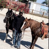 Inner City Horsemanship(@Cowboy_Kemani) 's Twitter Profile Photo