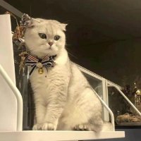 铁柱很硬 (@time30884520) 's Twitter Profile