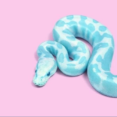 ExParinig's profile picture. ISDA MO DIHA