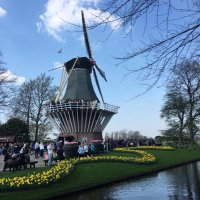 Conte@NL (@contenl1) Twitter profile photo