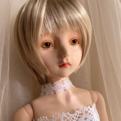 粘土や布、3DCGで人形・ぬいぐるみと衣装、小物の制作をしています。  猫が好き https://t.co/jlBmp1zX8T