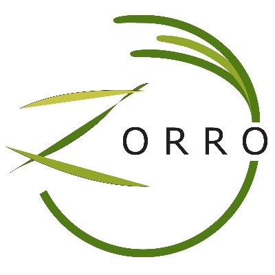 Zorro is an interdisciplinary research program working with management and restoration of eelgrass in Sweden