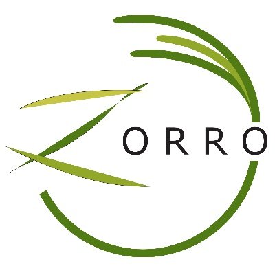 Zorro is an interdisciplinary research program working with management and restoration of eelgrass in Sweden