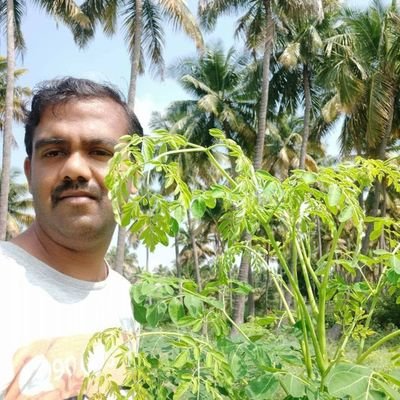 This is Ranjith Kumar from south india, The organic farm is located in western ghats geographical region.I am the CEO of Moringa promise wellness(Miracle tree)