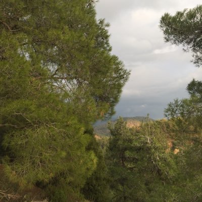 lxyyyb's profile picture. Panorama