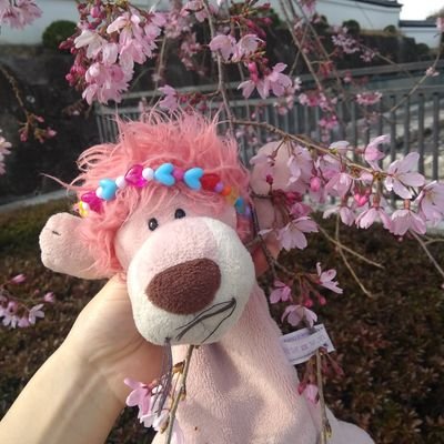 GRAPHIS11170969's profile picture. GRAPHIS🇰🇭17期
新しい方のアカウントです。
無断フォロー、突然のDMすみません。
