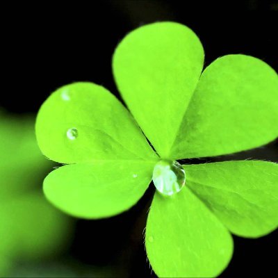 asmita85350535's profile picture. educated....confident.....not spineless