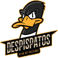 Jugamos A! porque nos equivocamos en la elección de deporte. El mejor equipo de A! por accidente. Decente equipo de Voleibol