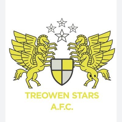 Treowen Stars AFC U11’s ⚽️