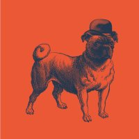 Pug Uglys & The Bone Yard(@pugs_boneyard) 's Twitter Profile Photo