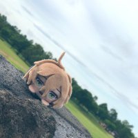 ねぎ (@negi_sub_) 's Twitter Profile