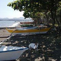 marino na tripper 🛳️🛳️⚓🍆 (@theseafarer27) 's Twitter Profile
